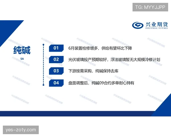 维尼修斯舆论评价两极分化的核心成因解析